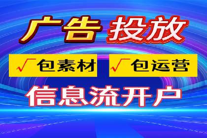 SEM代理助力品牌：案例解析与优化策略